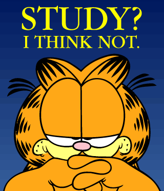 Study? I think not.